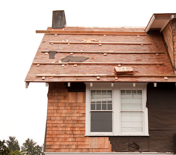 Best Insulated Siding Installation  in Bristol, CT